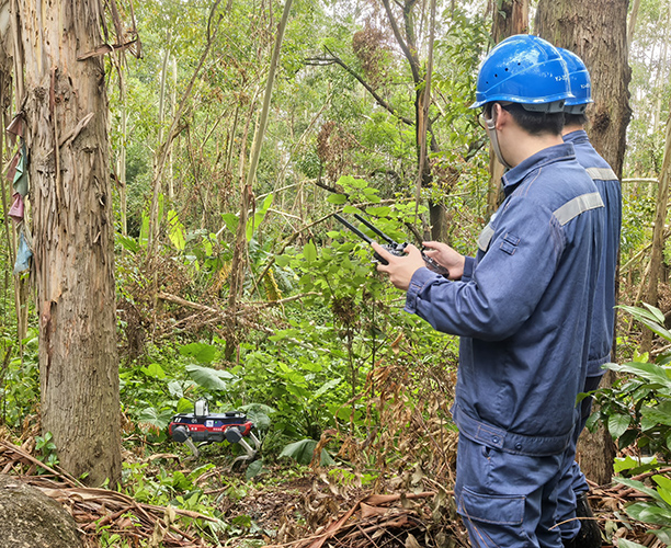 1750234612140765.jpg 廣哈通信應急通信機器狗在模擬災后雨林環境(多斷樹、枝,草叢多茂密復雜)中進行探測任務.jpg